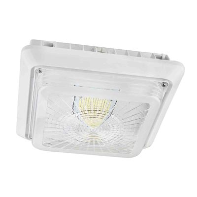 Lampade del baldacchino della cucina 120V 40W 5000K IP65 LED